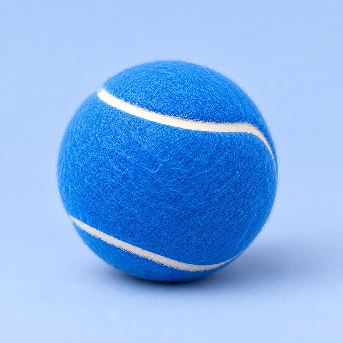Blue Fetch Ball