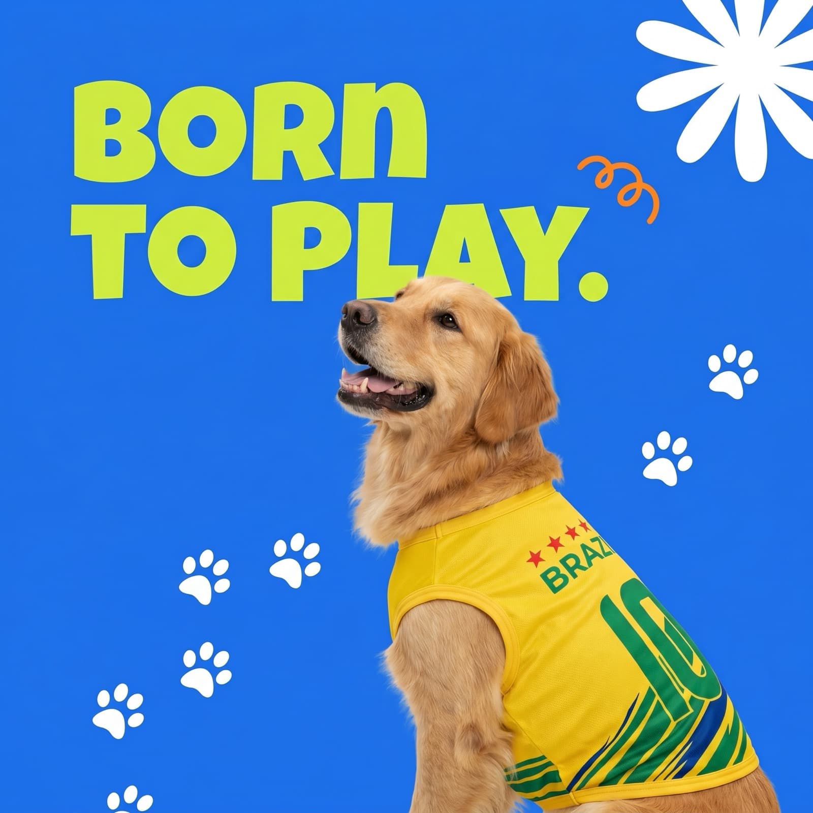 Golden Retriever in the Brazil jersey: Born to Play