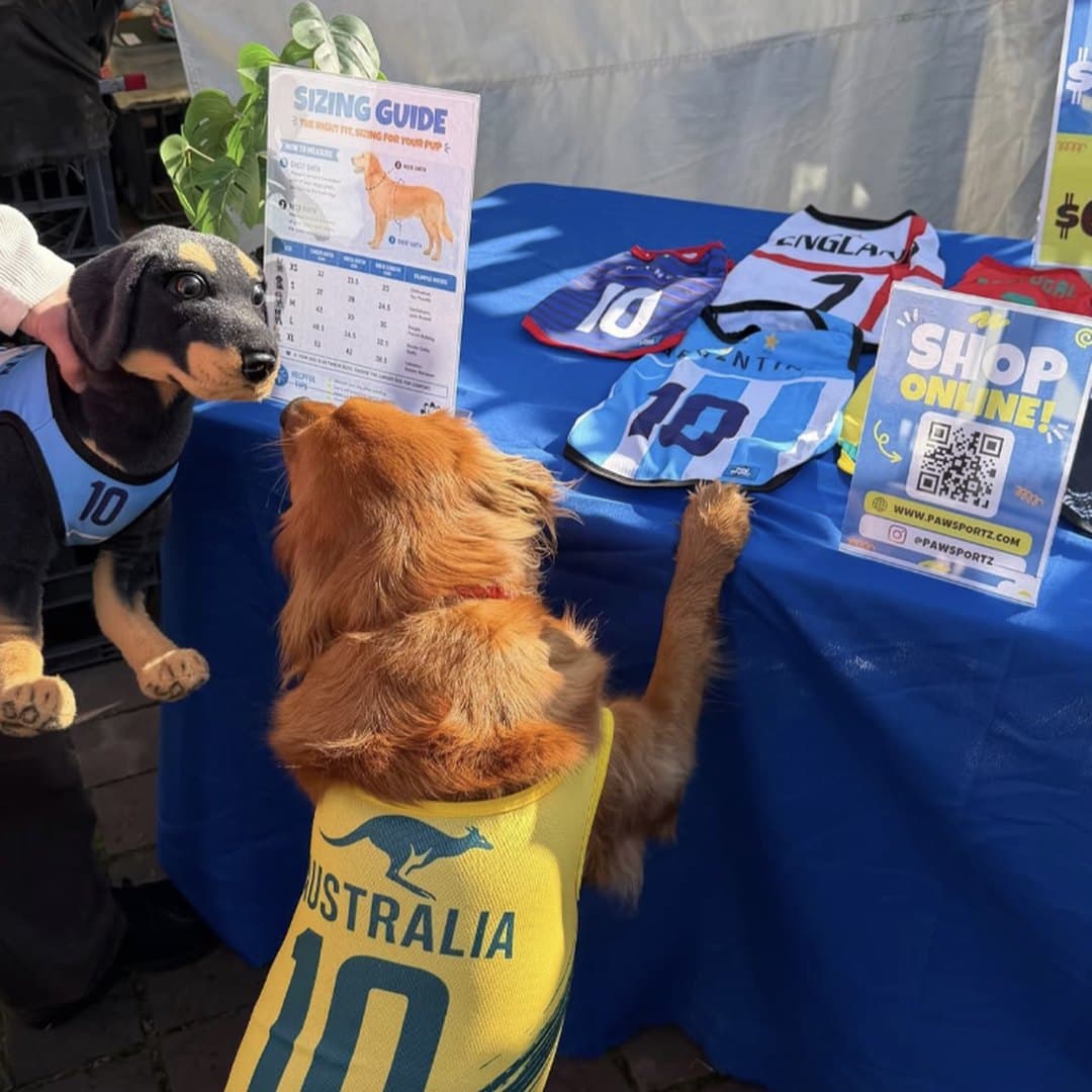 Two dogs at the Paw Sportz stall at Paddington Markets, jerseys and the sizing guide on the table