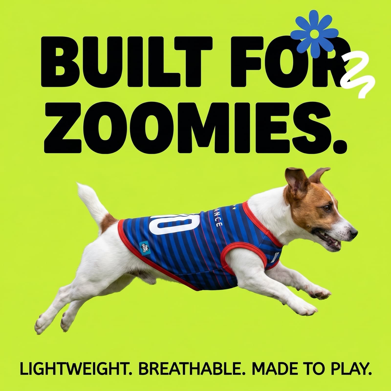 Jack Russell mid-leap in the France jersey: Built For Zoomies