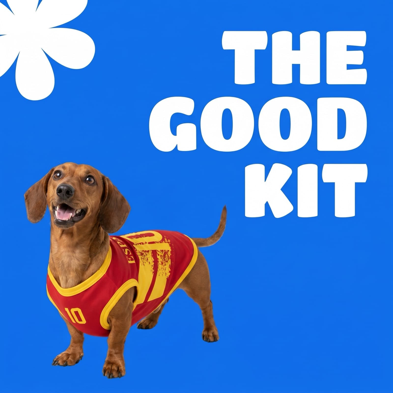 Dachshund in the Spain jersey: The Good Kit