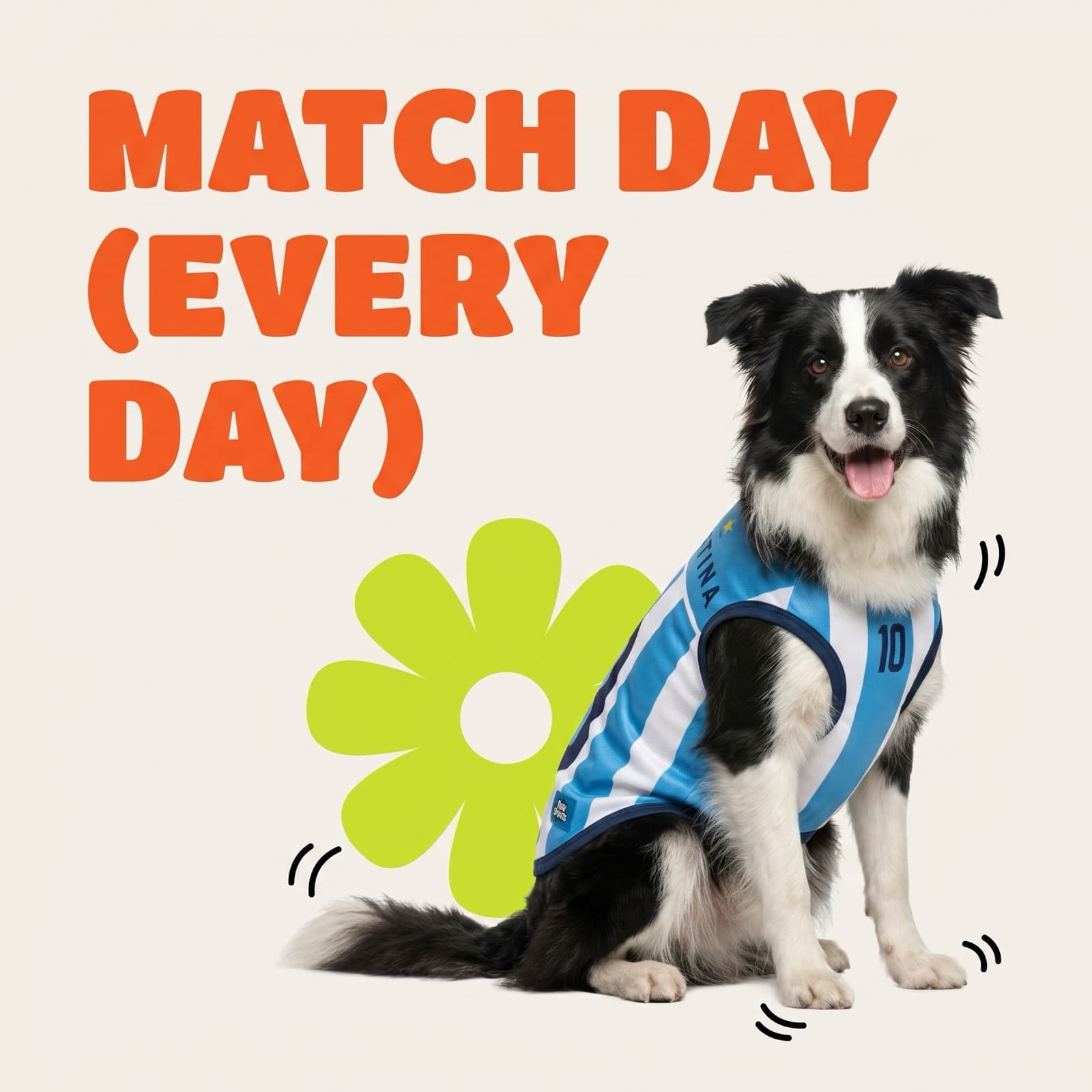 Border Collie in the Argentina jersey: Match Day, Every Day