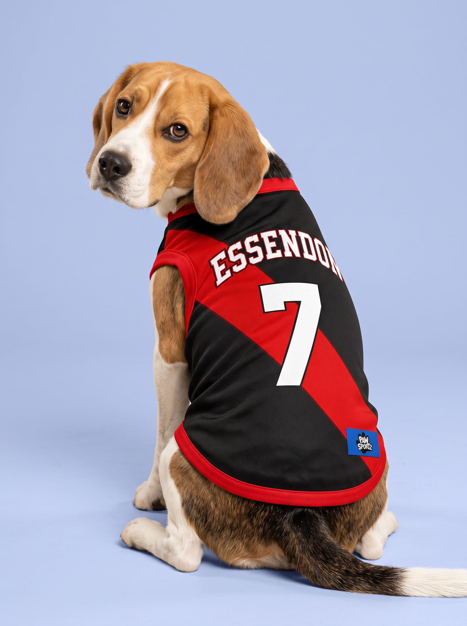 Essendon Fan Jersey
