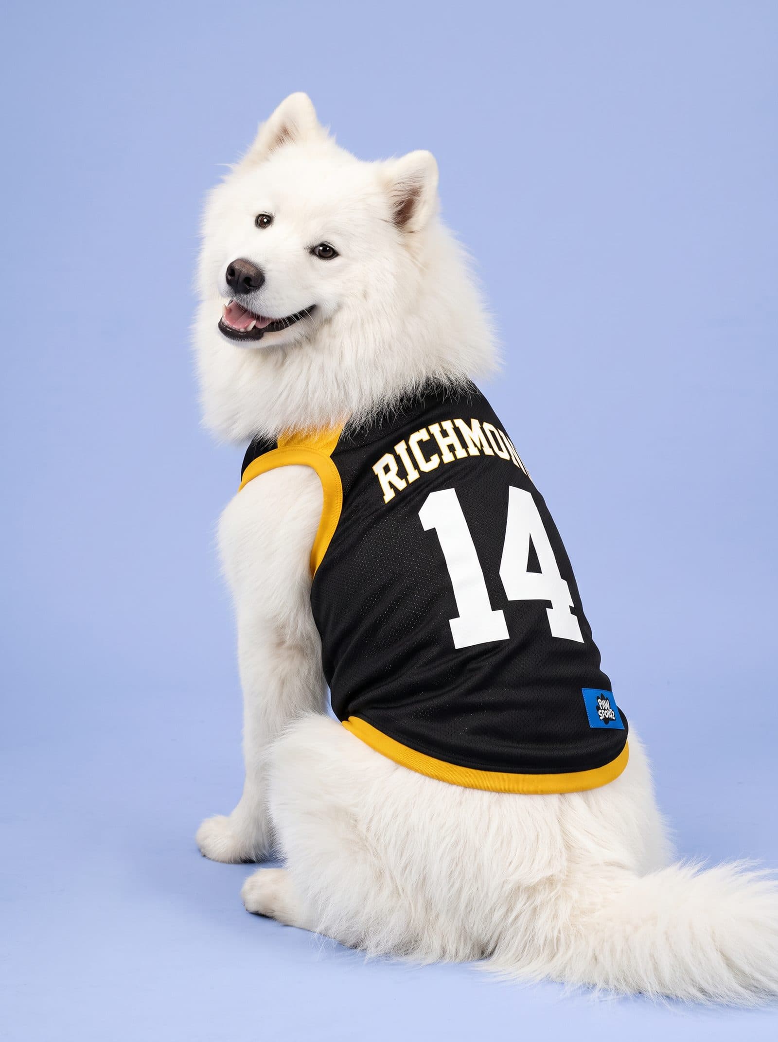 Richmond Fan Jersey