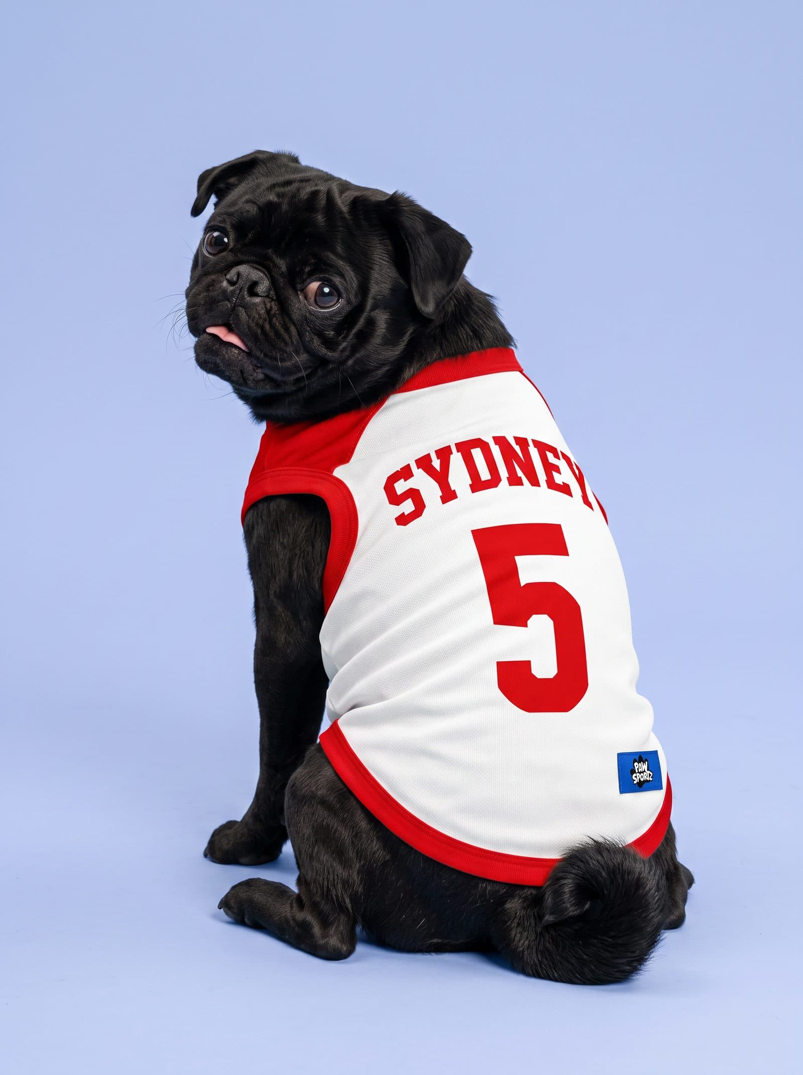 Sydney Red & White Fan Jersey