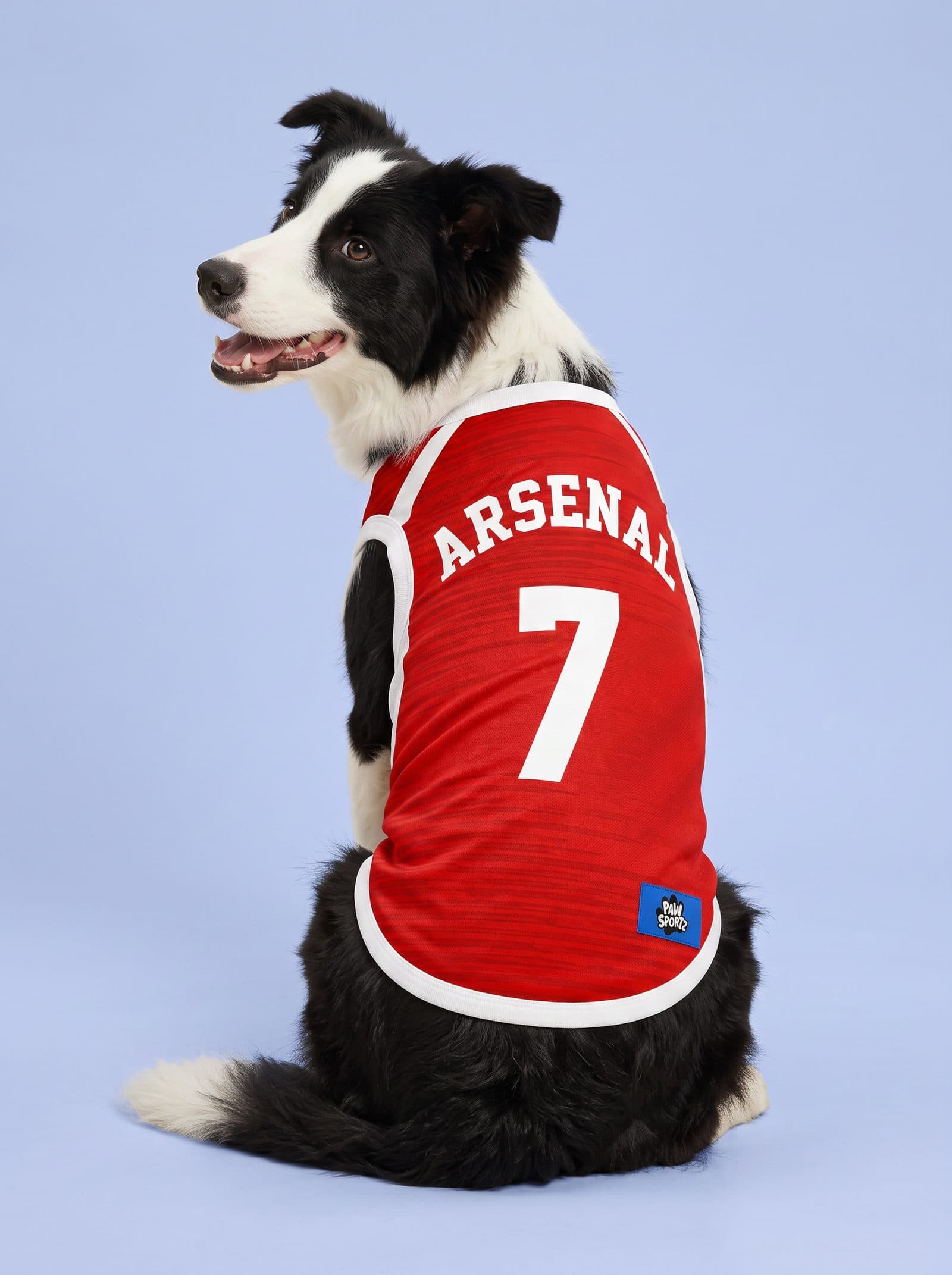 Arsenal Fan Jersey