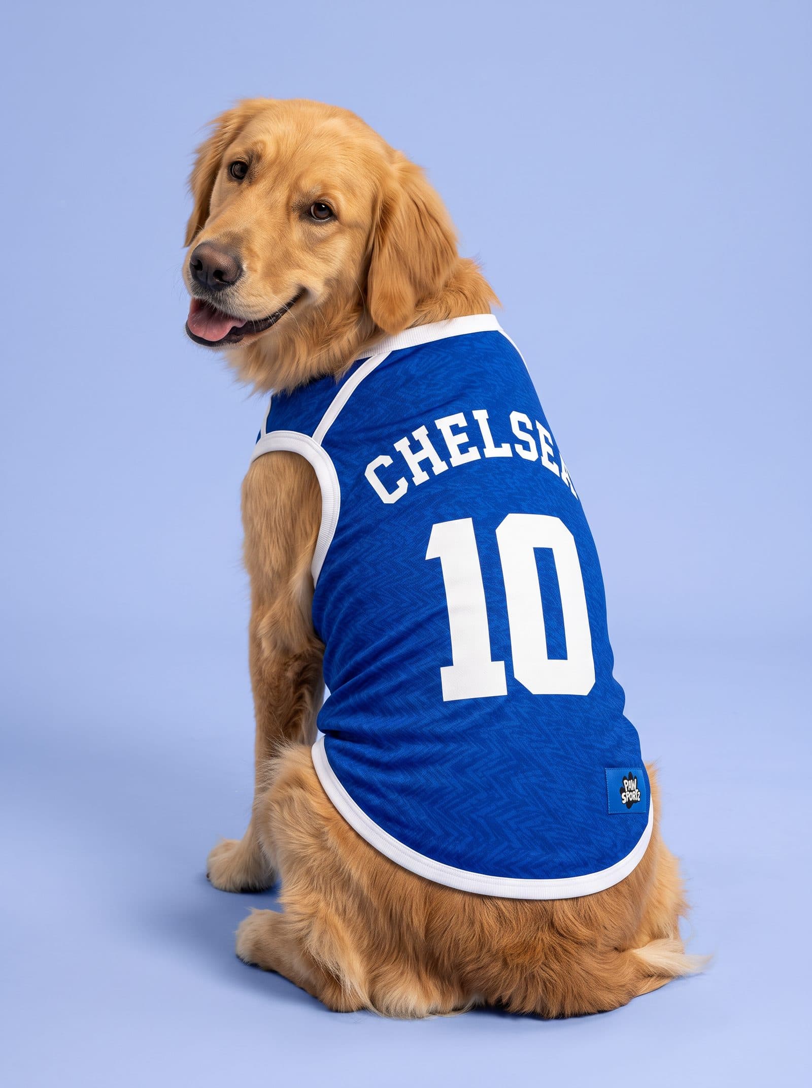 Chelsea Fan Jersey