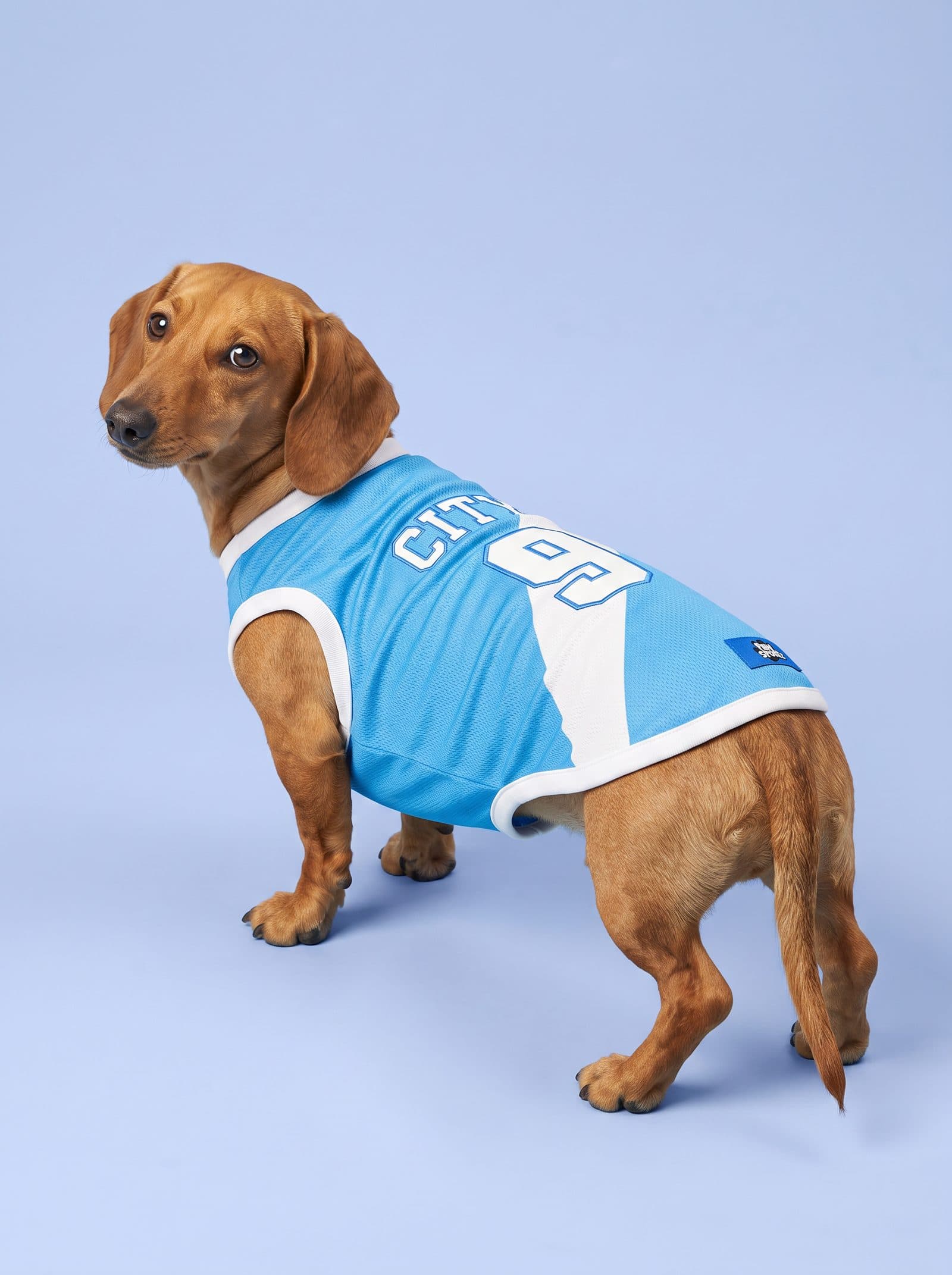 City Fan Jersey