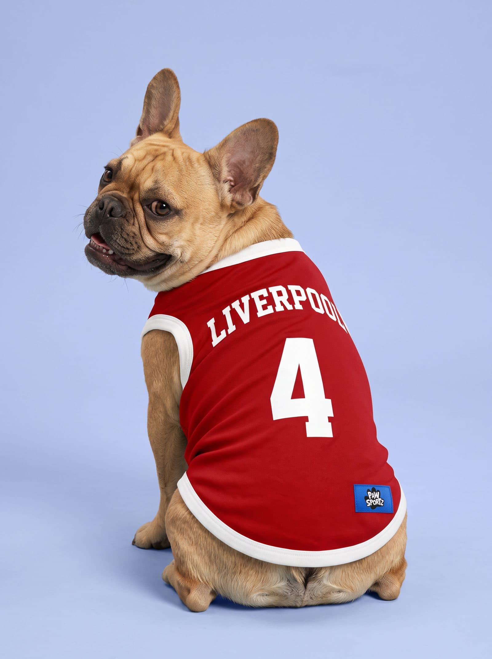 Liverpool Fan Jersey