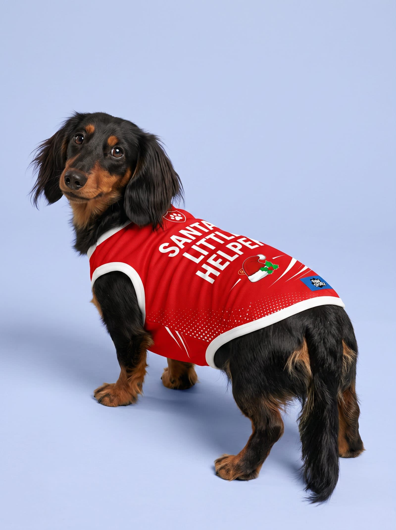 Santa's Little Helper Jersey