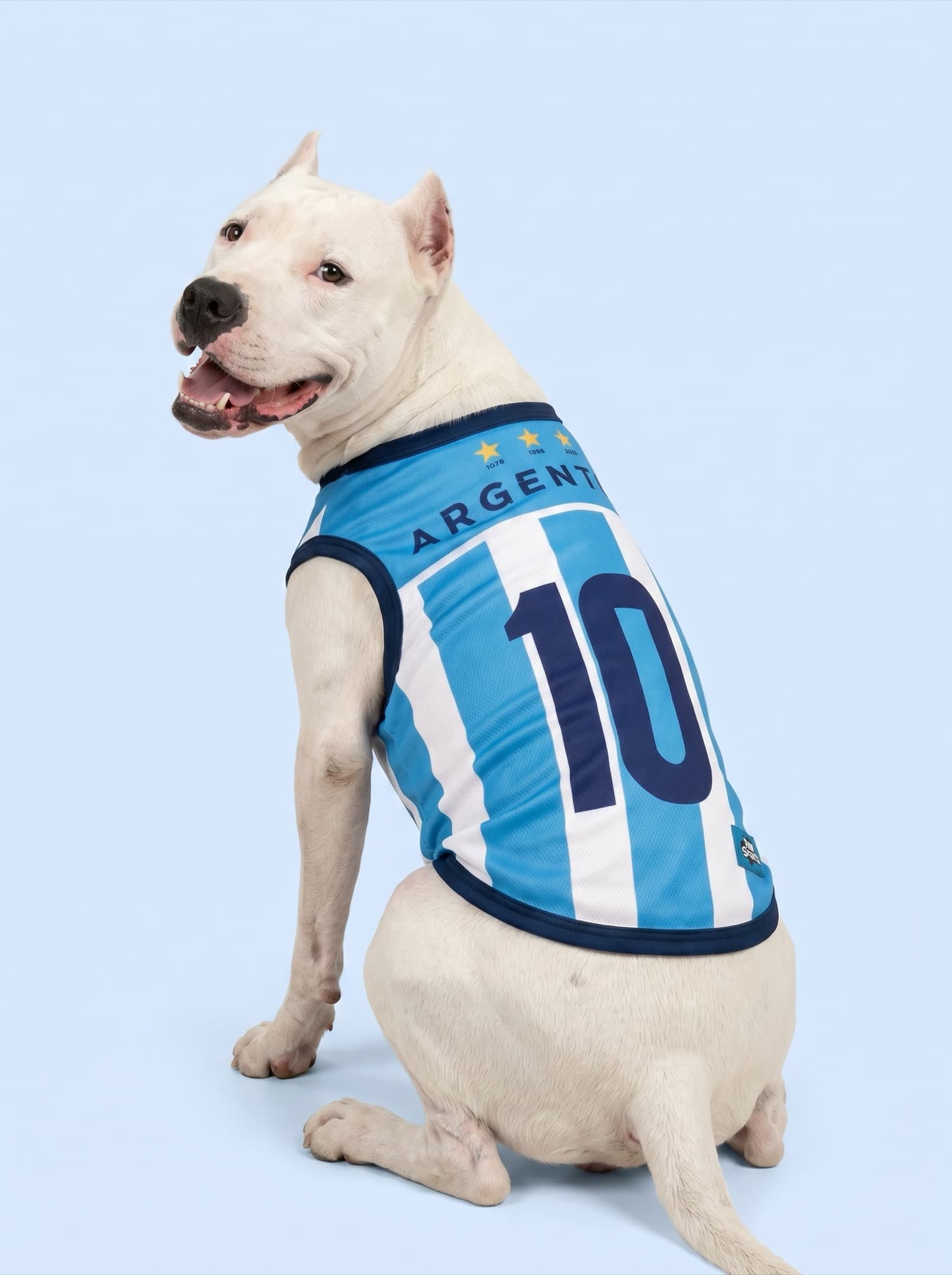 Argentina Fan Jersey