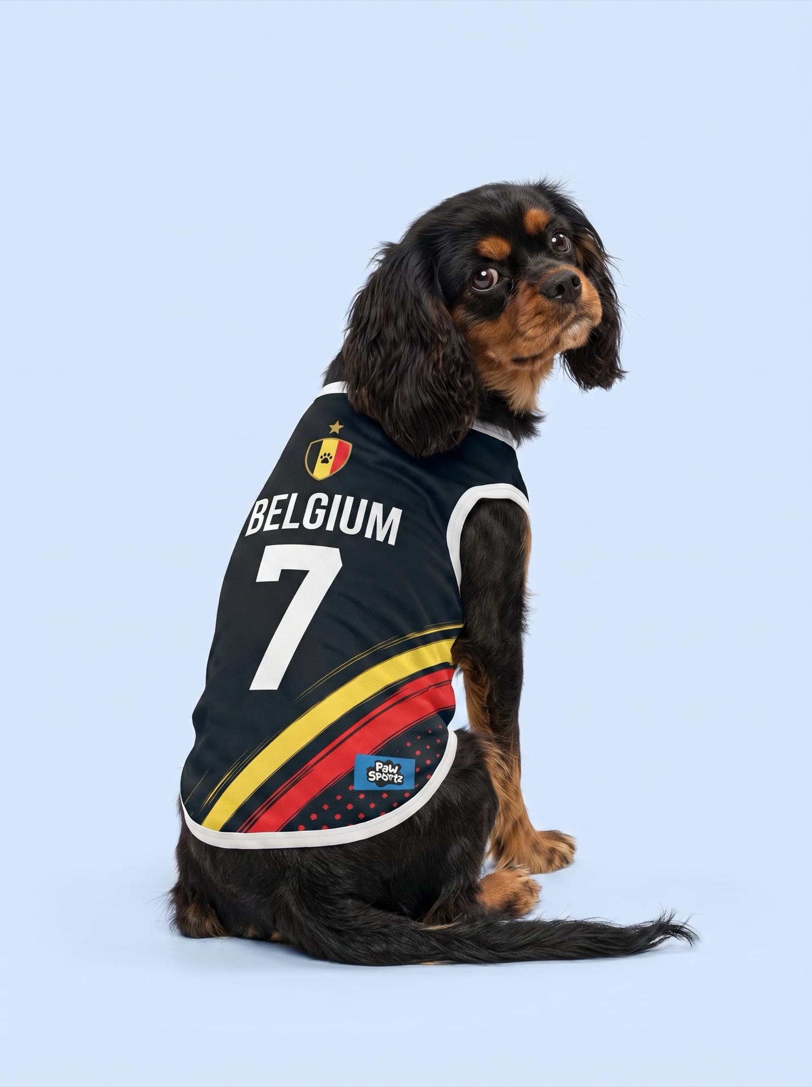Belgium Fan Jersey