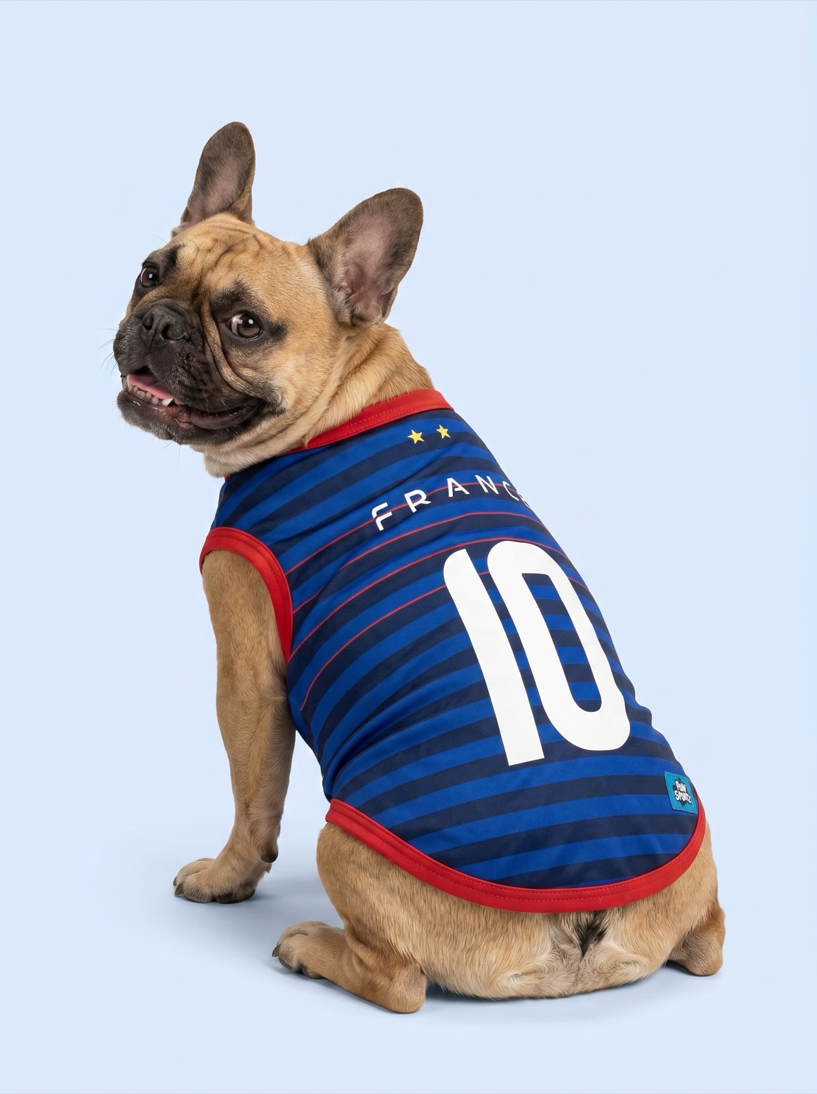 France Fan Jersey