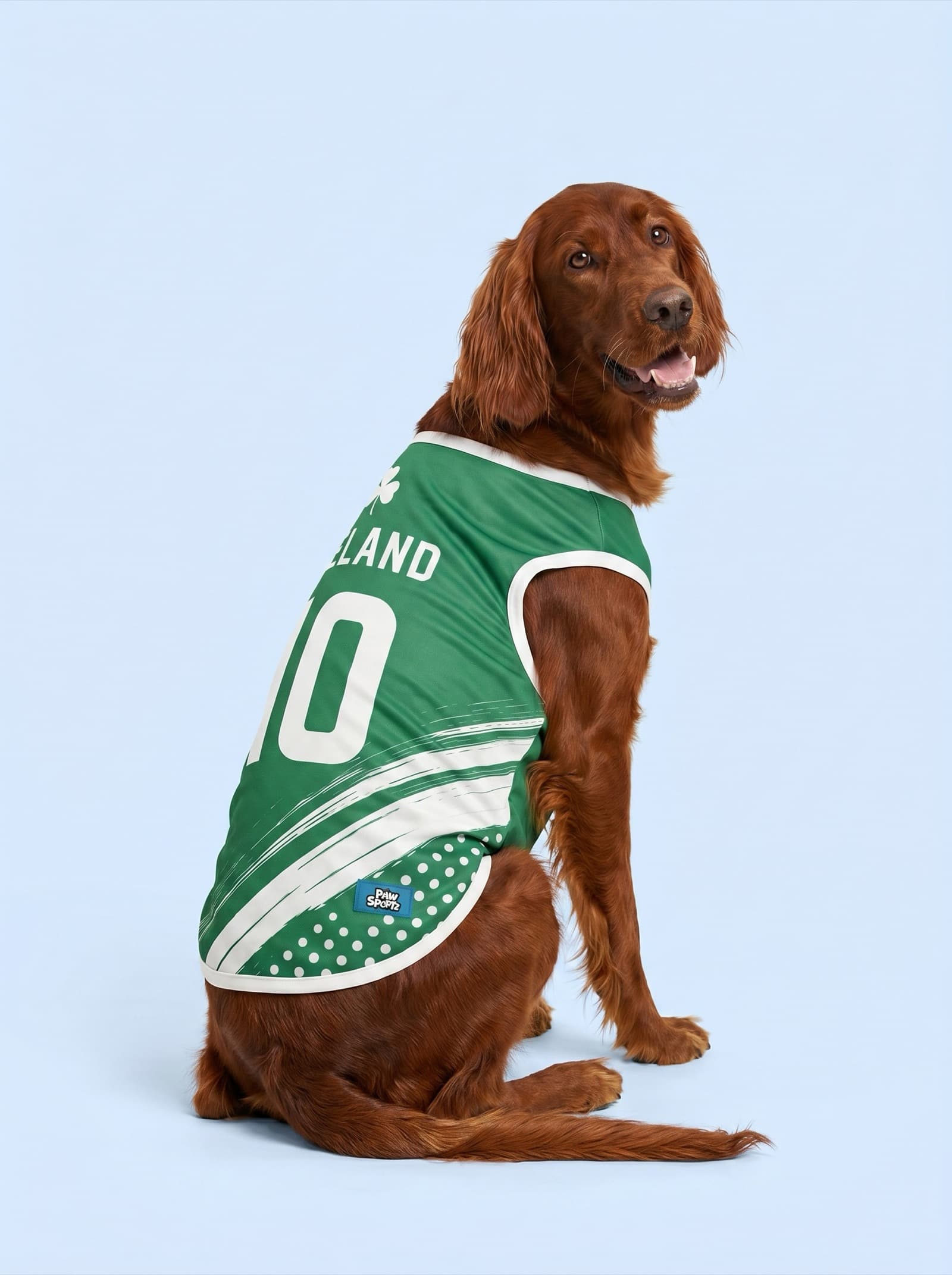 Ireland Fan Jersey