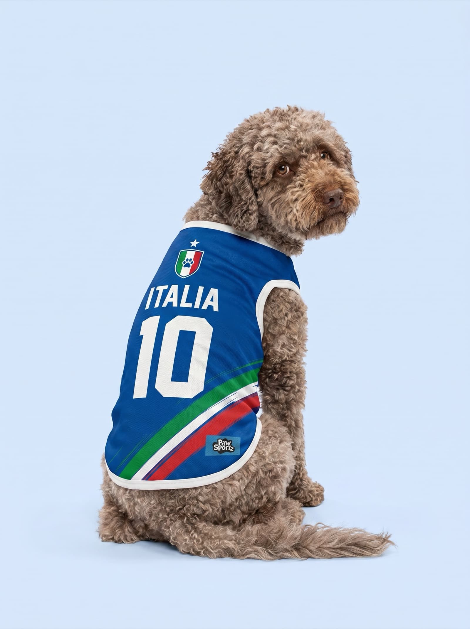 Italy Fan Jersey