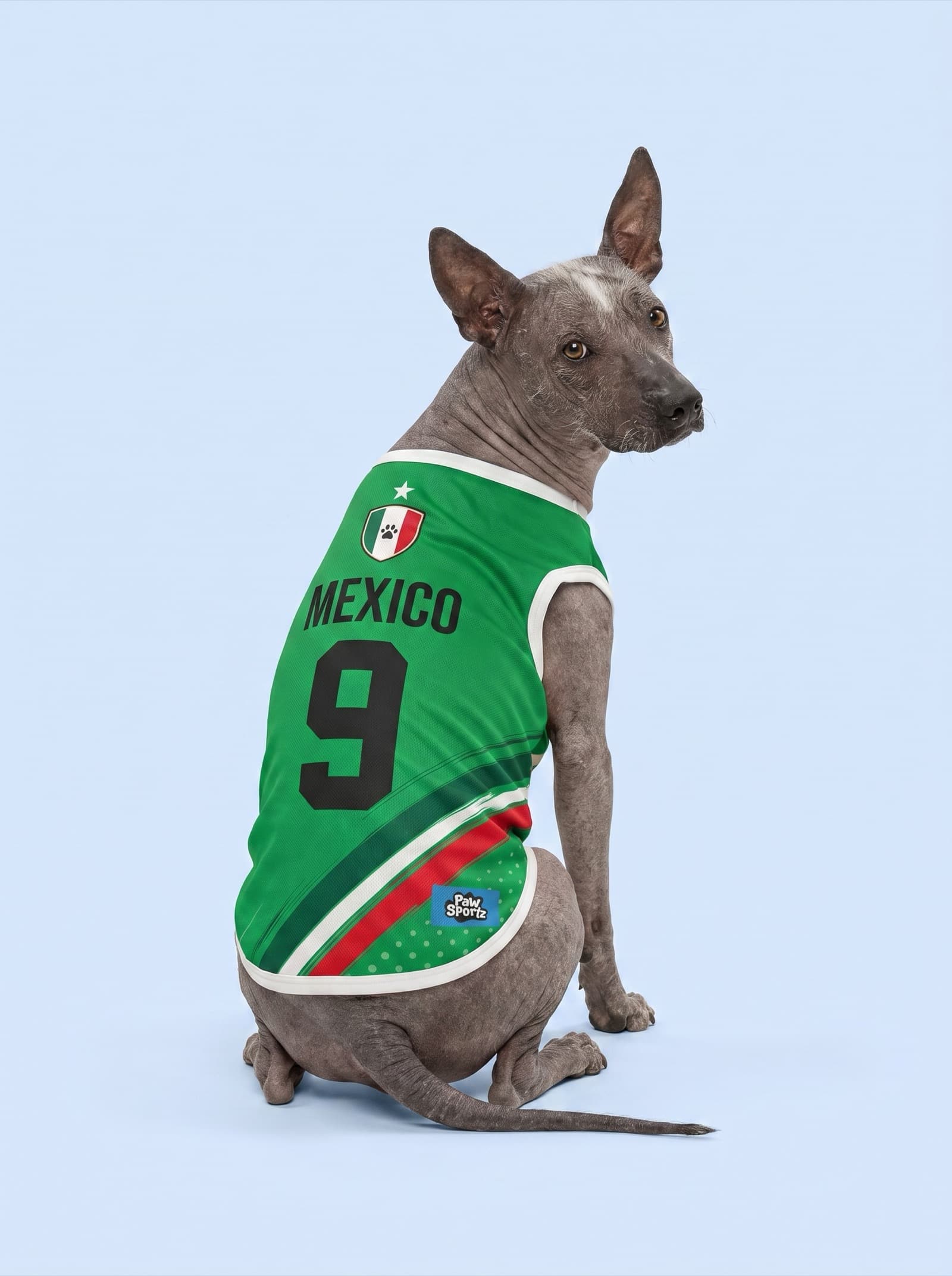 Mexico Fan Jersey