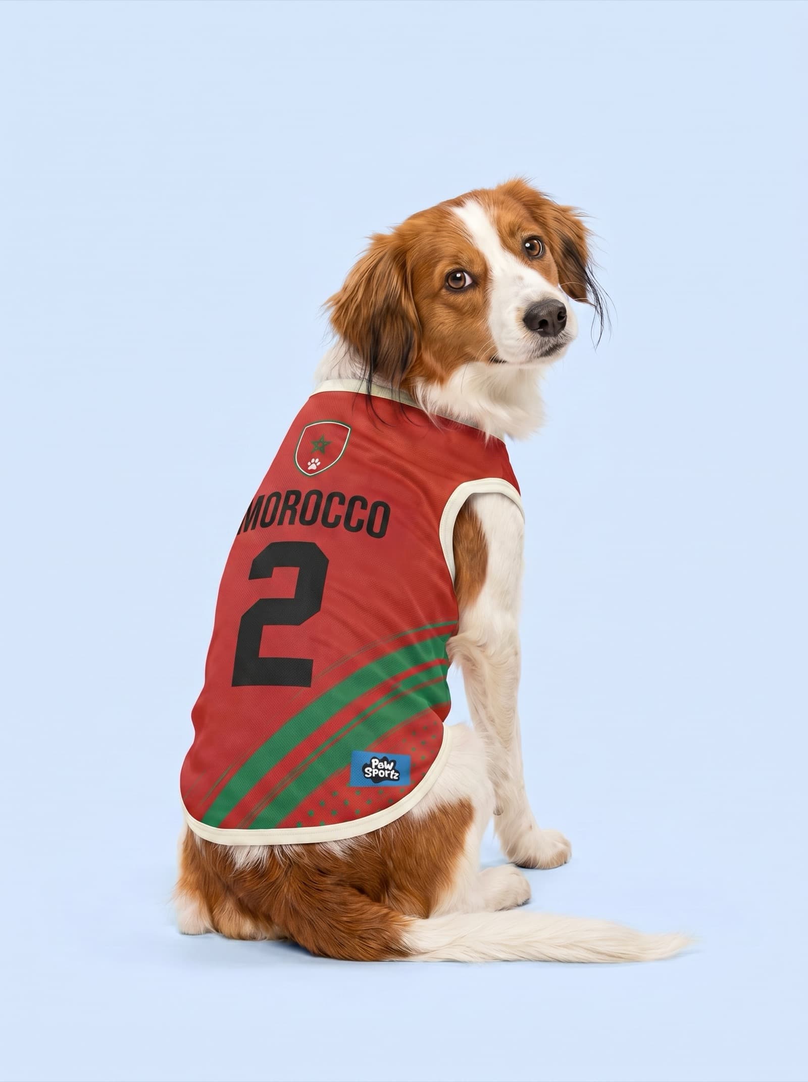 Morocco Fan Jersey