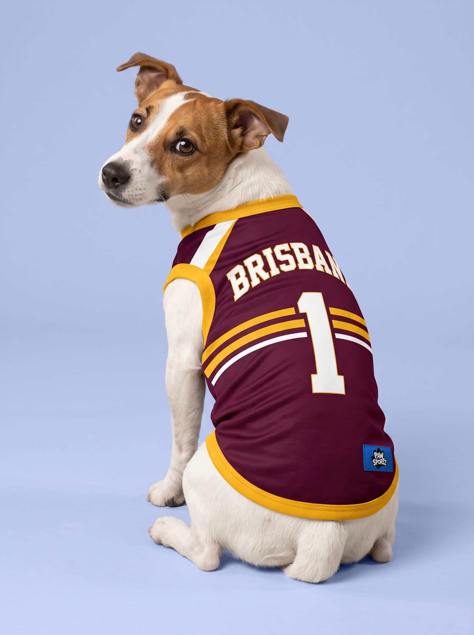 Brisbane Maroon & Gold Fan Jersey