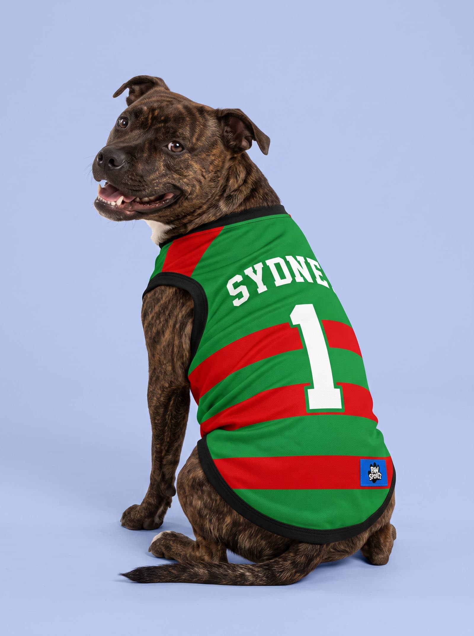 Sydney Green & Red Fan Jersey