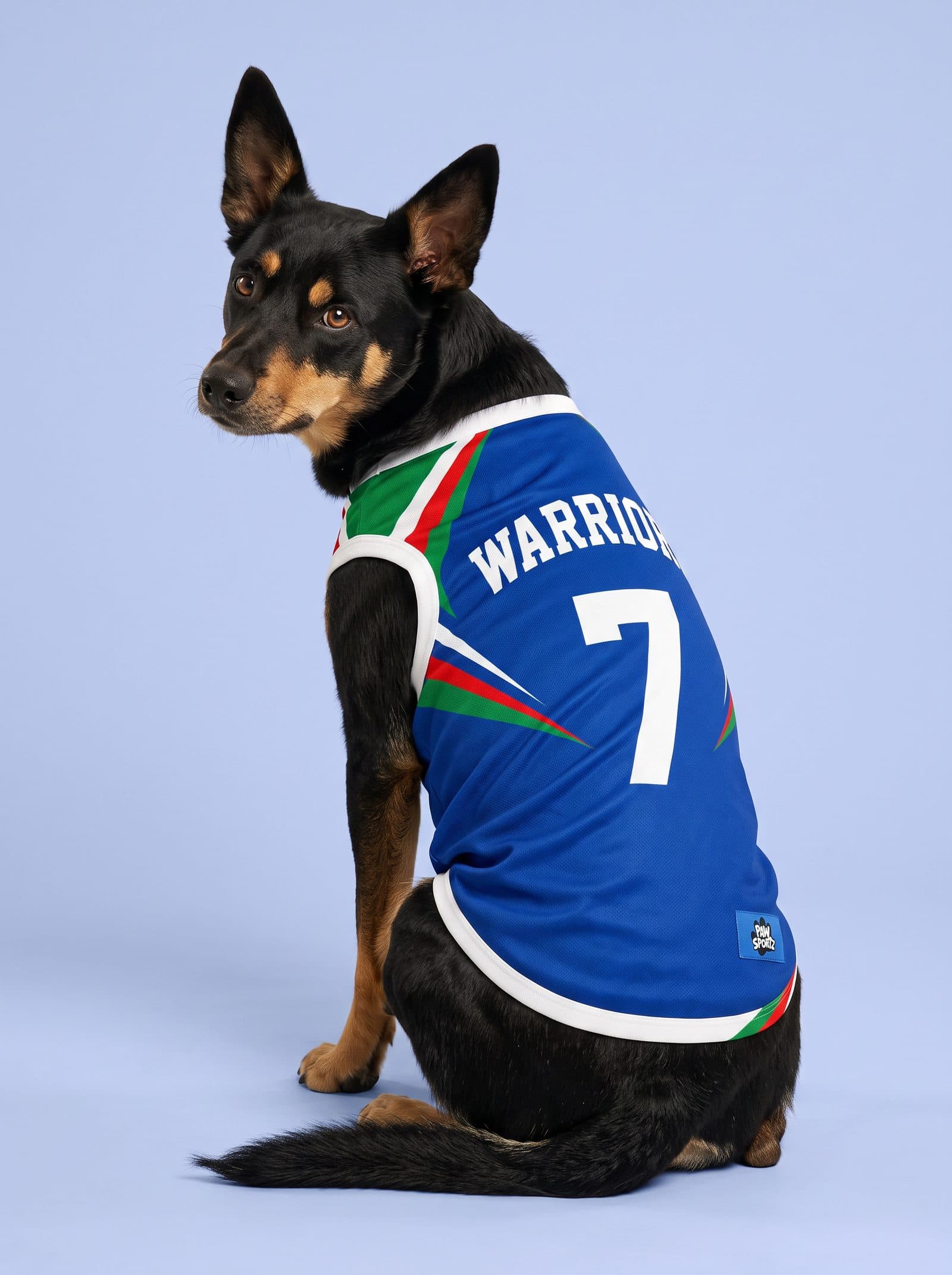 Warriors Fan Jersey