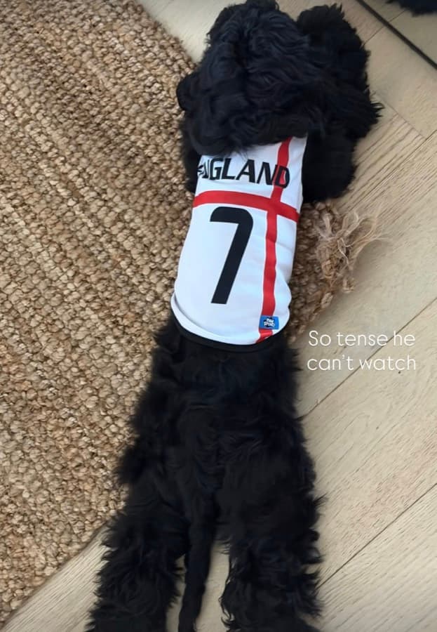 Real customer photo: a pet wearing a Paw Sportz football kit (22)