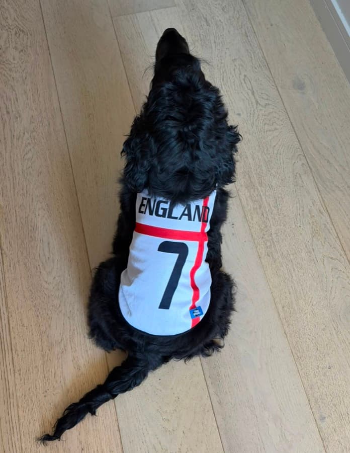 Real customer photo: a pet wearing a Paw Sportz football kit (2)