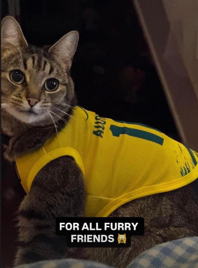 Real customer photo: a pet wearing a Paw Sportz football kit (7)