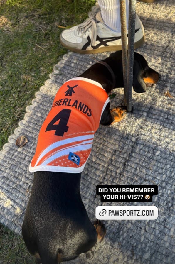 Real customer photo: a pet wearing a Paw Sportz football kit (8)