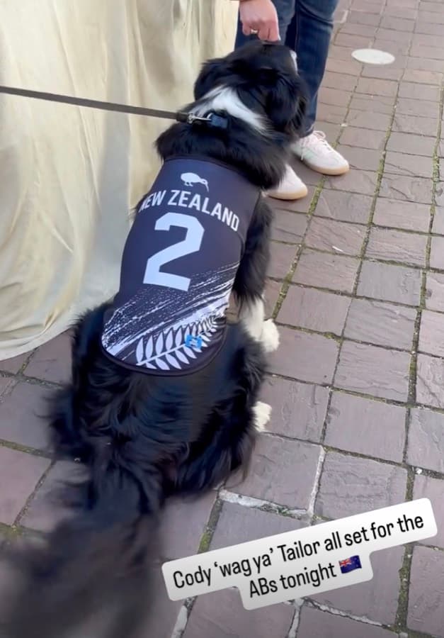 Real customer photo: a pet wearing a Paw Sportz football kit (27)