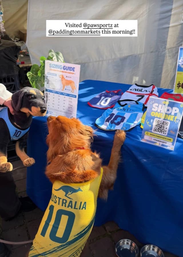 Real customer photo: a pet wearing a Paw Sportz football kit (4)