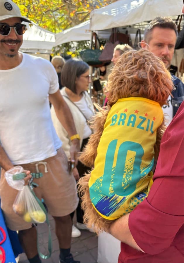 Real customer photo: a pet wearing a Paw Sportz football kit (17)