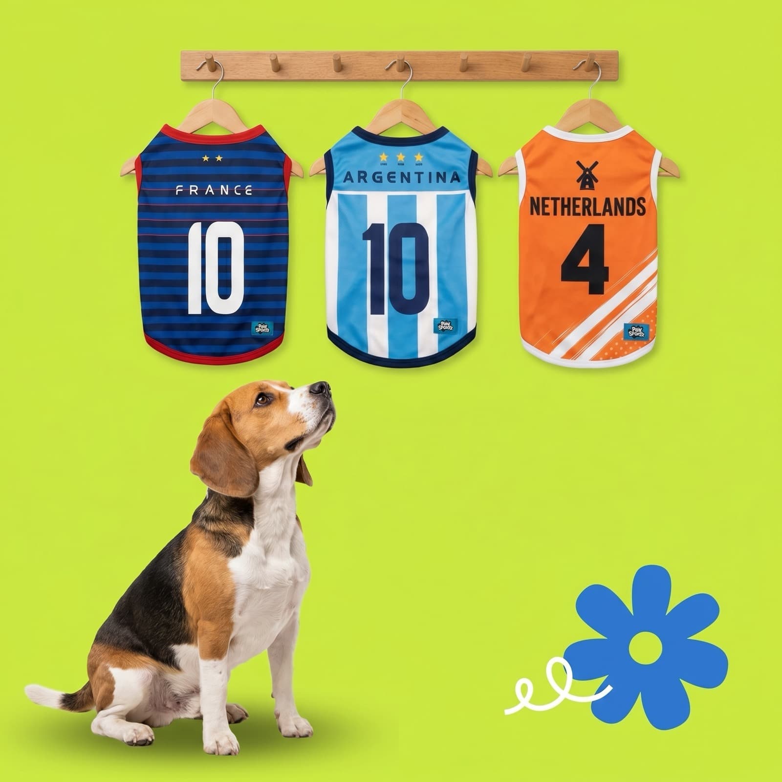 Beagle looking up at a row of dog football jerseys