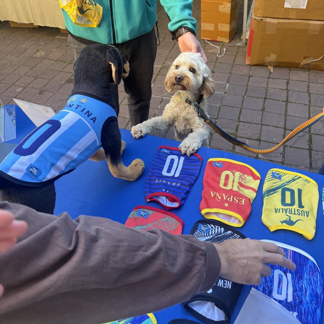 Two dogs in kits at the Paw Sportz market stall, jerseys laid out on the table